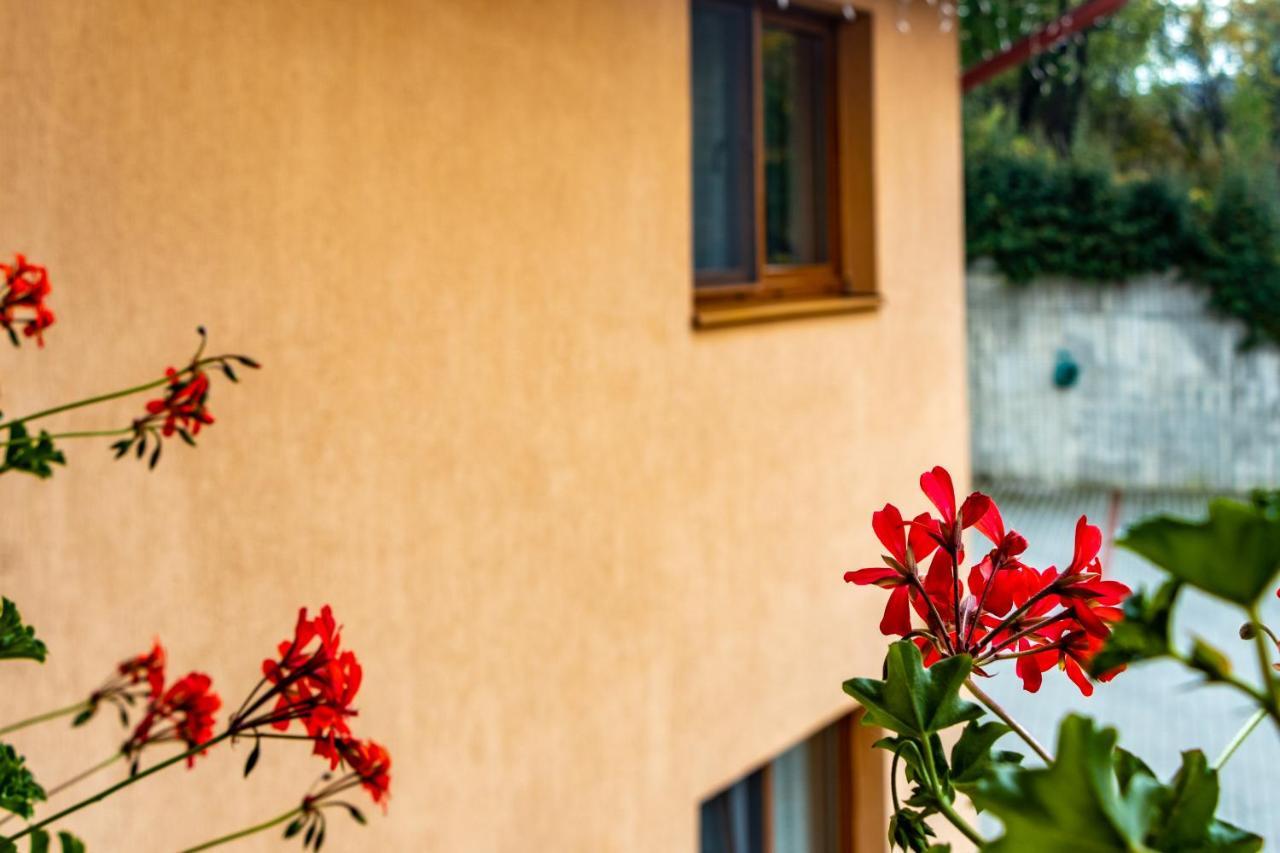 Casa Tofi Vendeghaz Aparthotel เปรอิด ภายนอก รูปภาพ